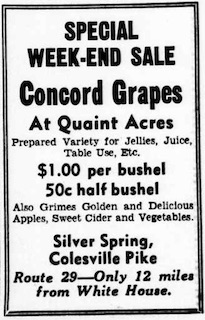 Quaint Acres Nursery ad in Evening Star Sept 16, 1939